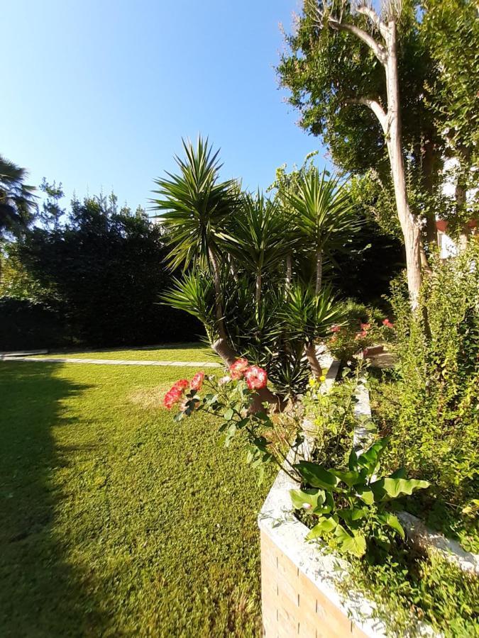 La Gran Dama Acomodação com café da manhã Roseto Degli Abruzzi Exterior foto